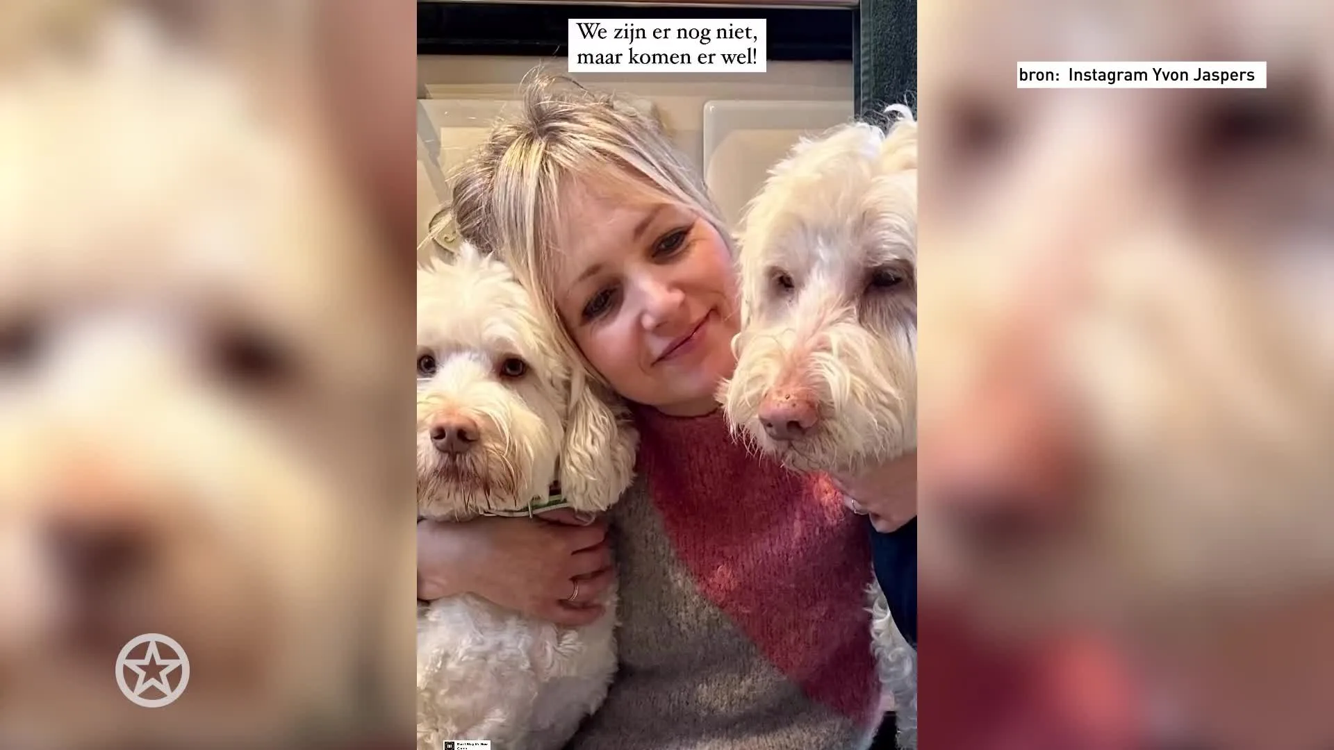 Zo gaat het nu met hondje Yvon Jaspers