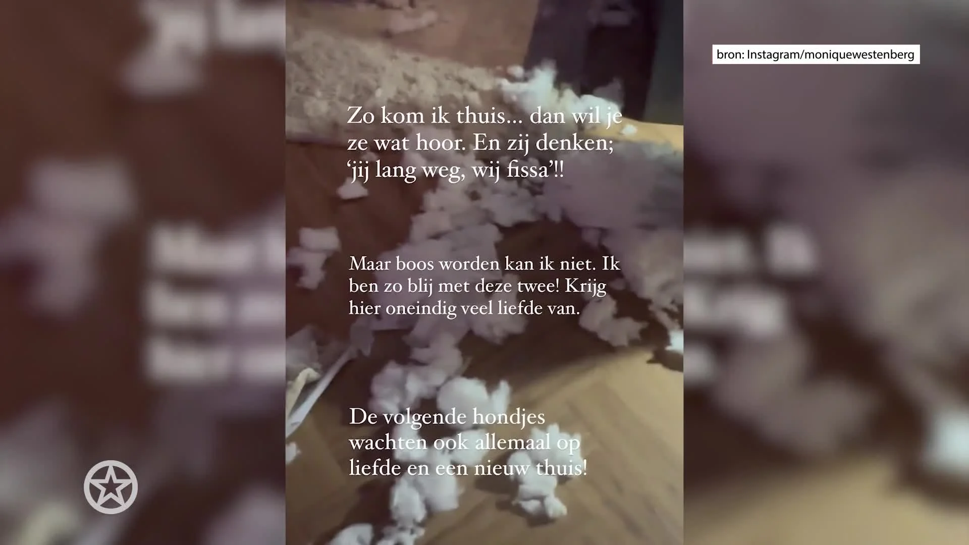 Monique filmt geruïneerd huis