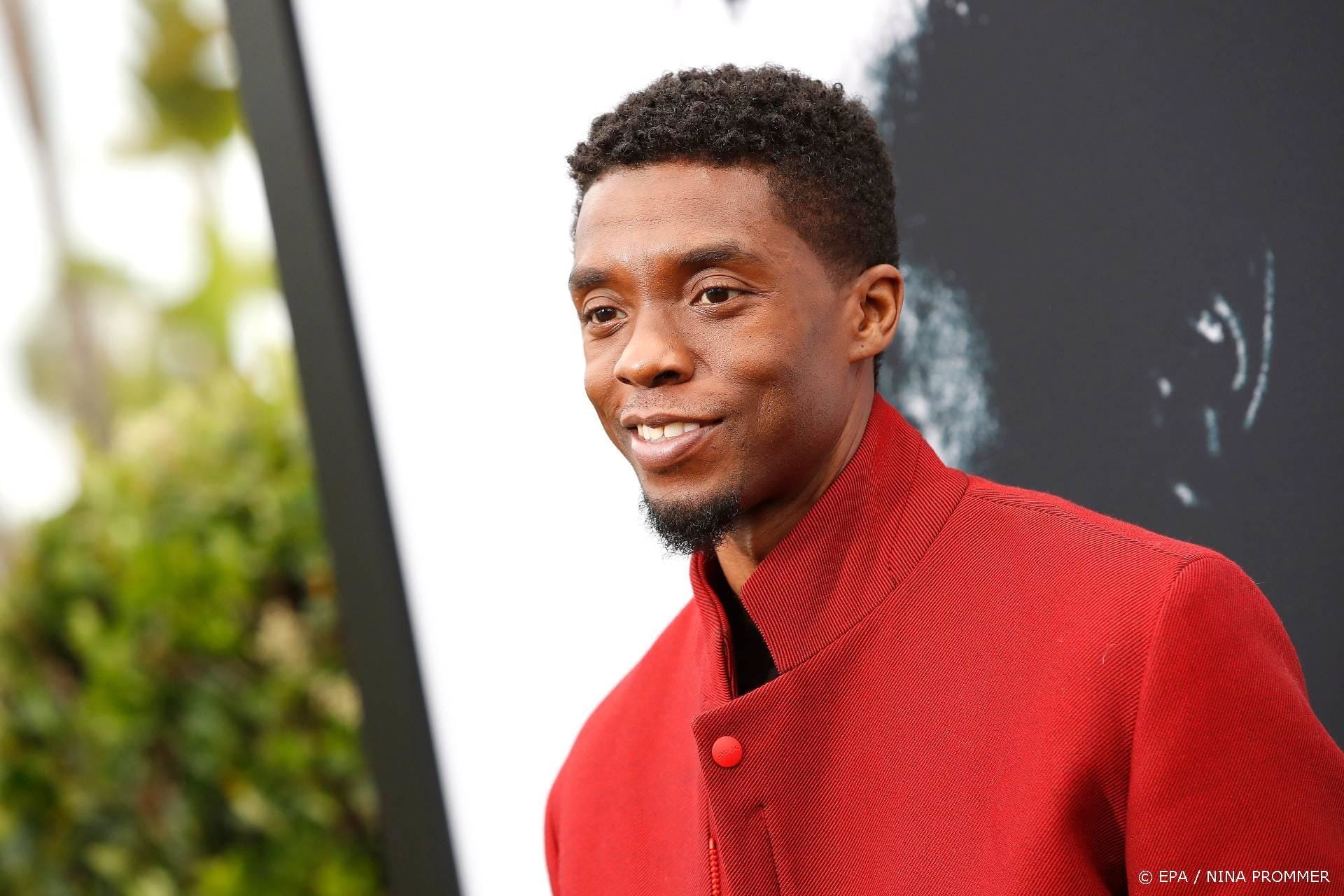 Chadwick Boseman krijgt standbeeld in geboorteplaats