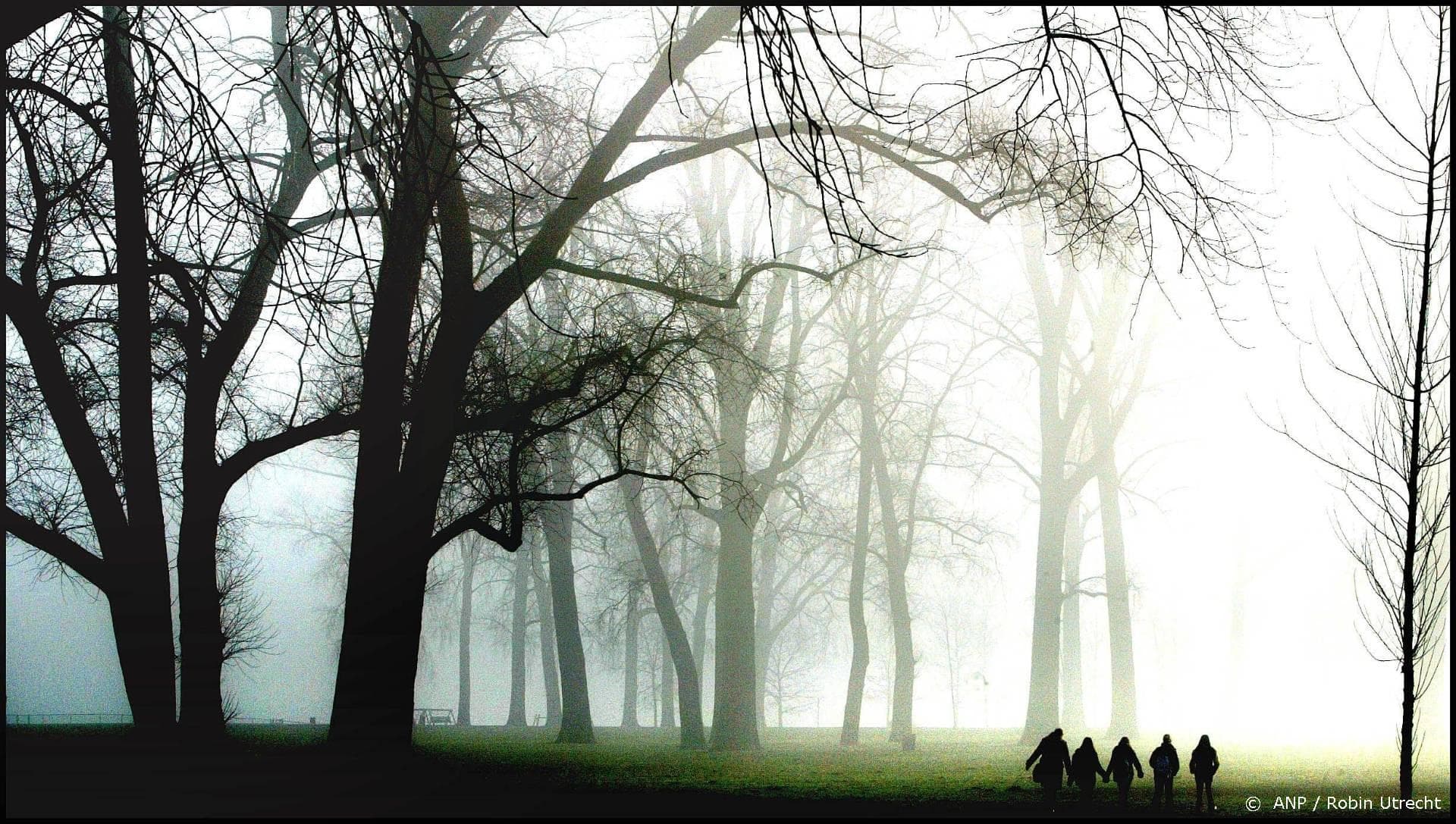 Lichtspektakel Grote Schijn krijgt tweede editie