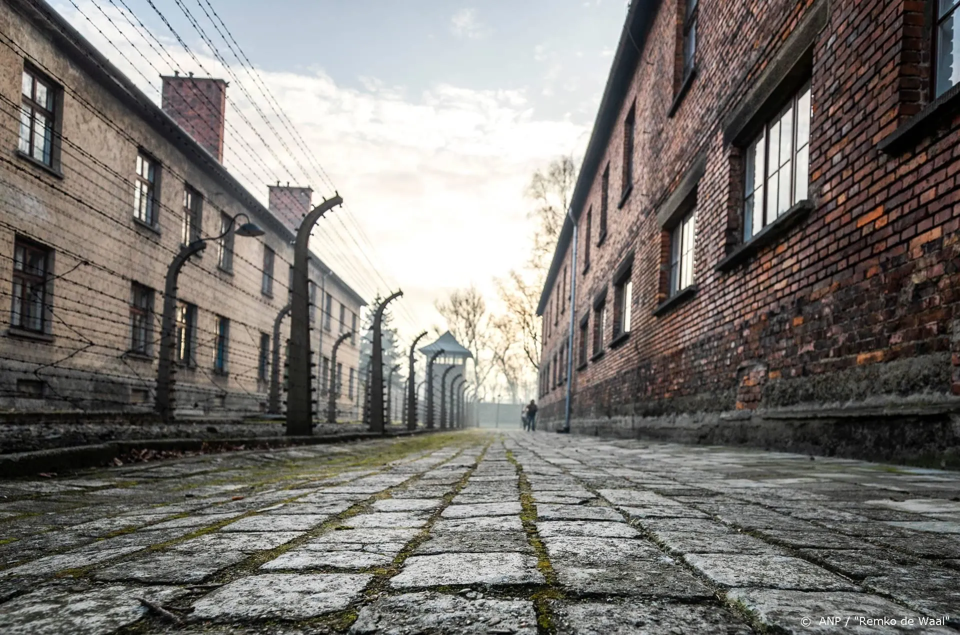 Auschwitz Museum boos over Amazonserie