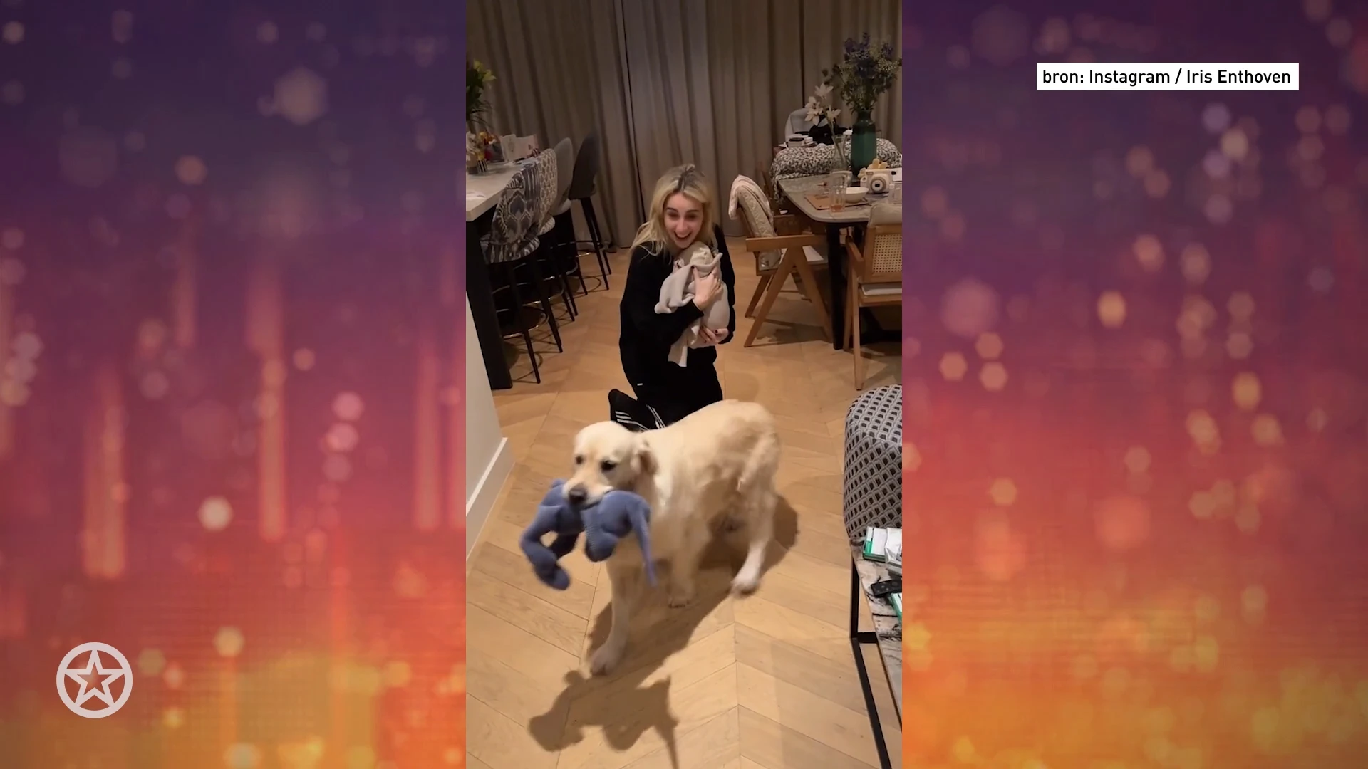 Iris Enthoven stelt pasgeboren zoontje voor aan hond