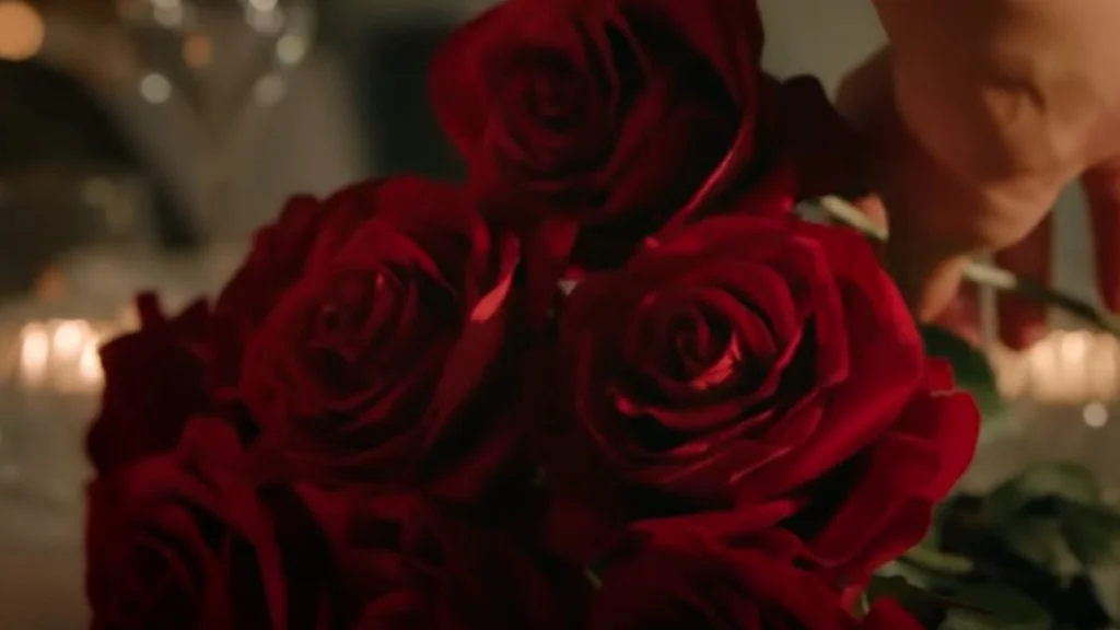 Verrassende bekendmaking over nieuw seizoen De Bachelorette