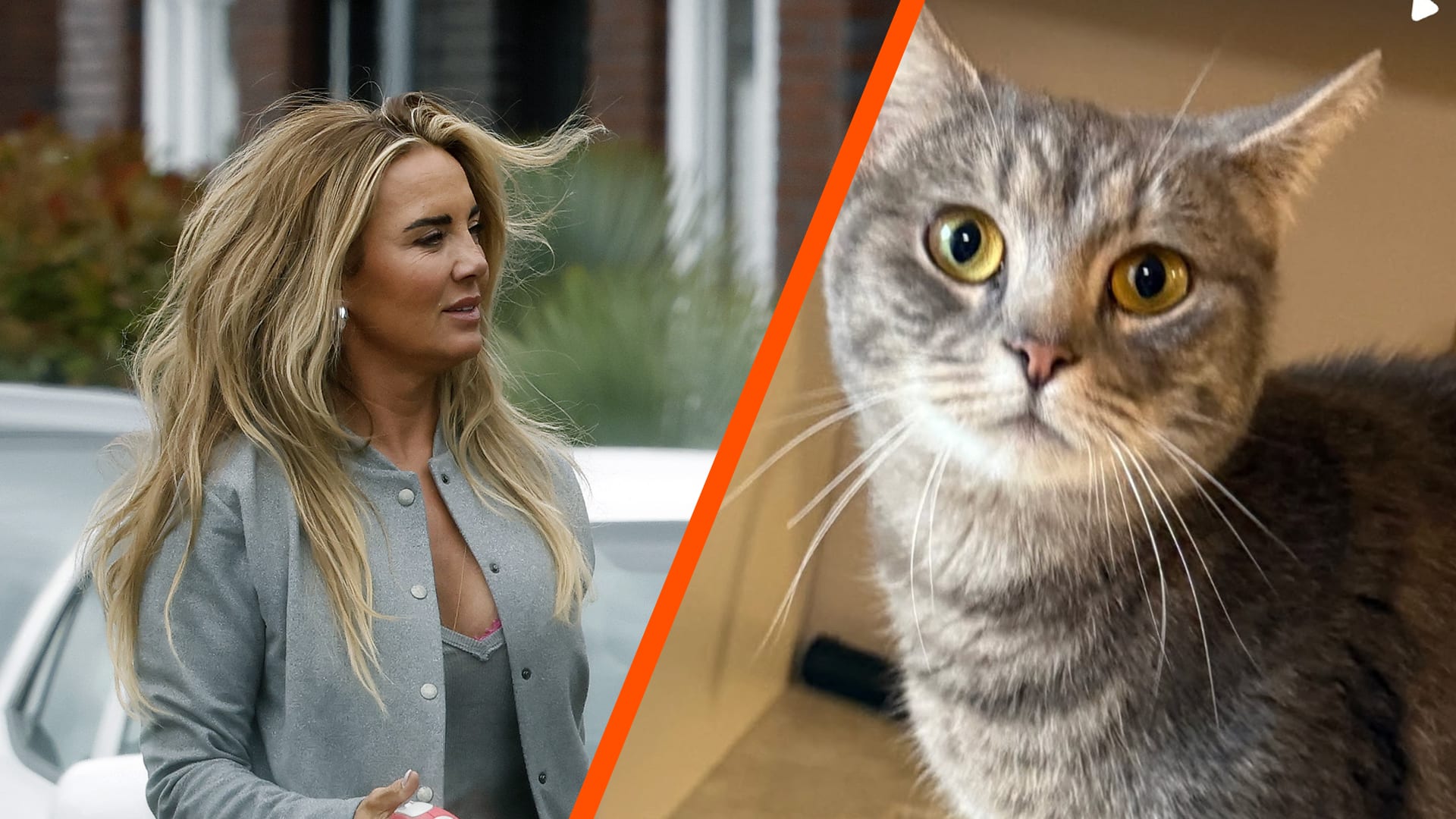 Monique Westenberg redt jong katje op de weg