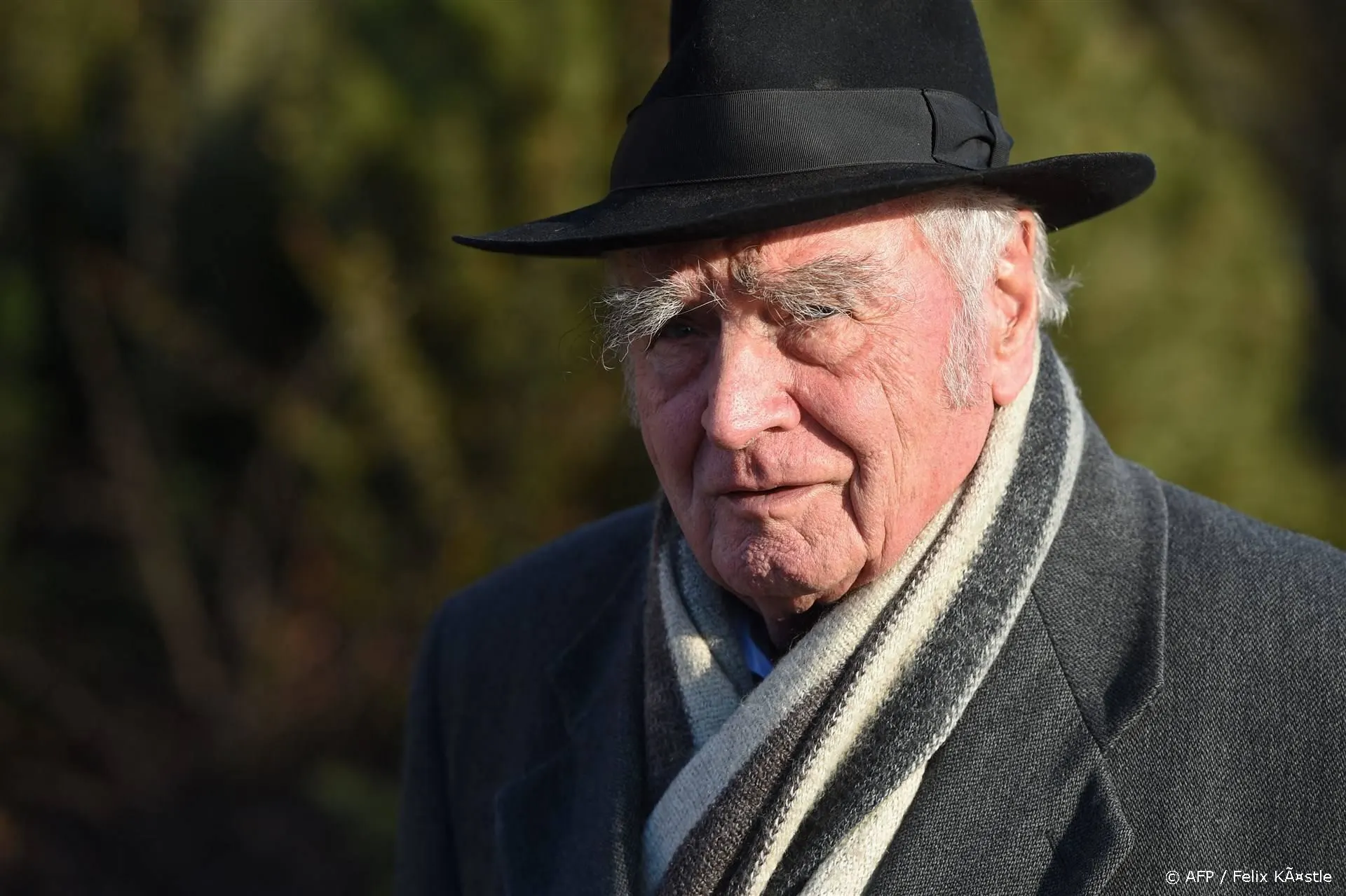 Bekende Duitse schrijver Martin Walser overleden