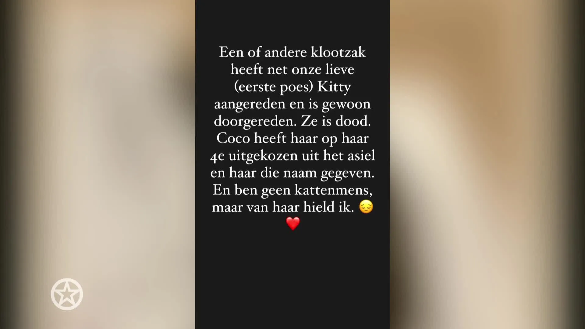 Dennis en Stella Weening kapot van verdriet om doodgereden poes