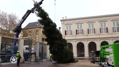 Zo ziet de kerstboom op Paleis Noordeinde eruit