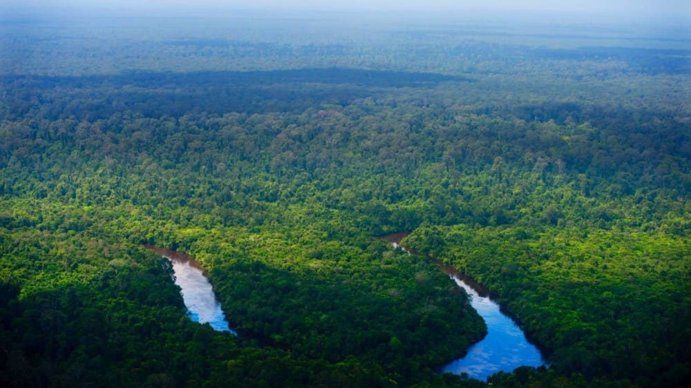 Omroep Groen wil zendtijd voor de aarde