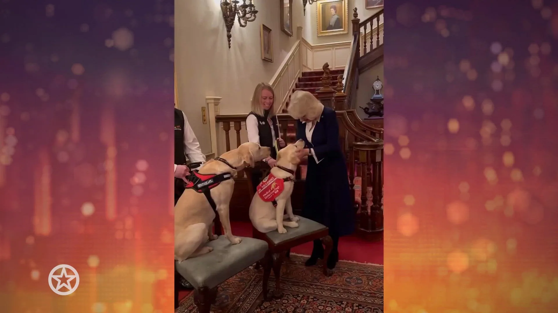 Koningin Camilla heeft een grote liefde voor honden
