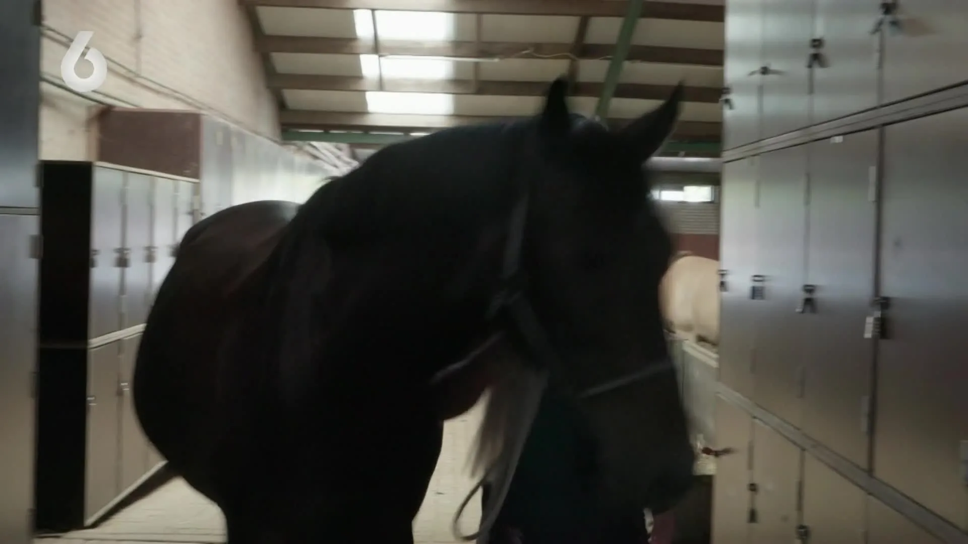 Kijkers hekelen over 'puinzooi' in Steenrijk, Straatarm