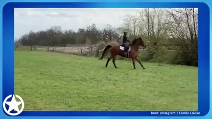 Famke Louise heeft ongeluk met paard