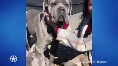 ZIEN: Gezinsuitbreiding voor Tommie Christiaan en Jamie!