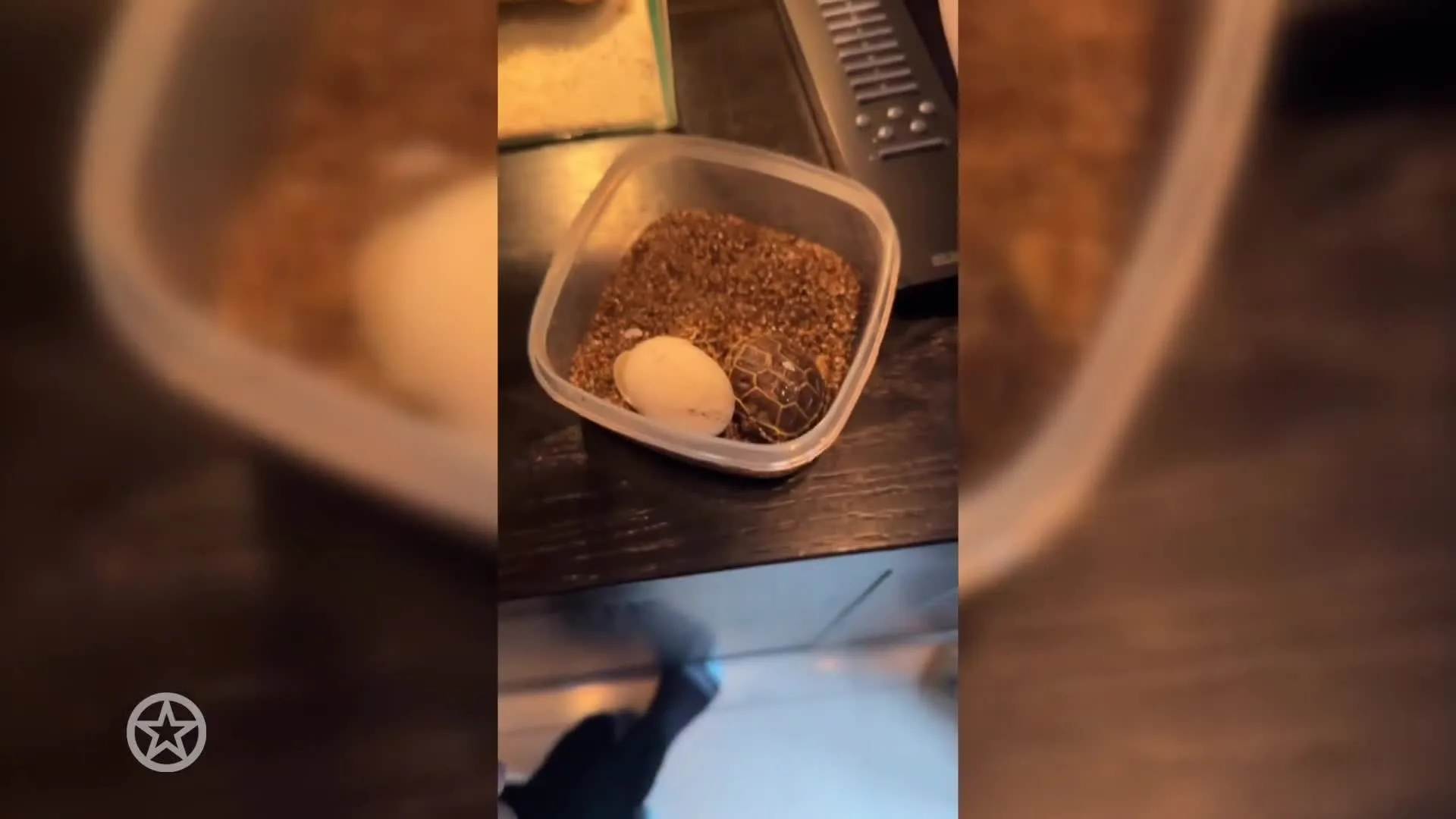 Nicolette en Bas dolblij met gezinsuitbreiding