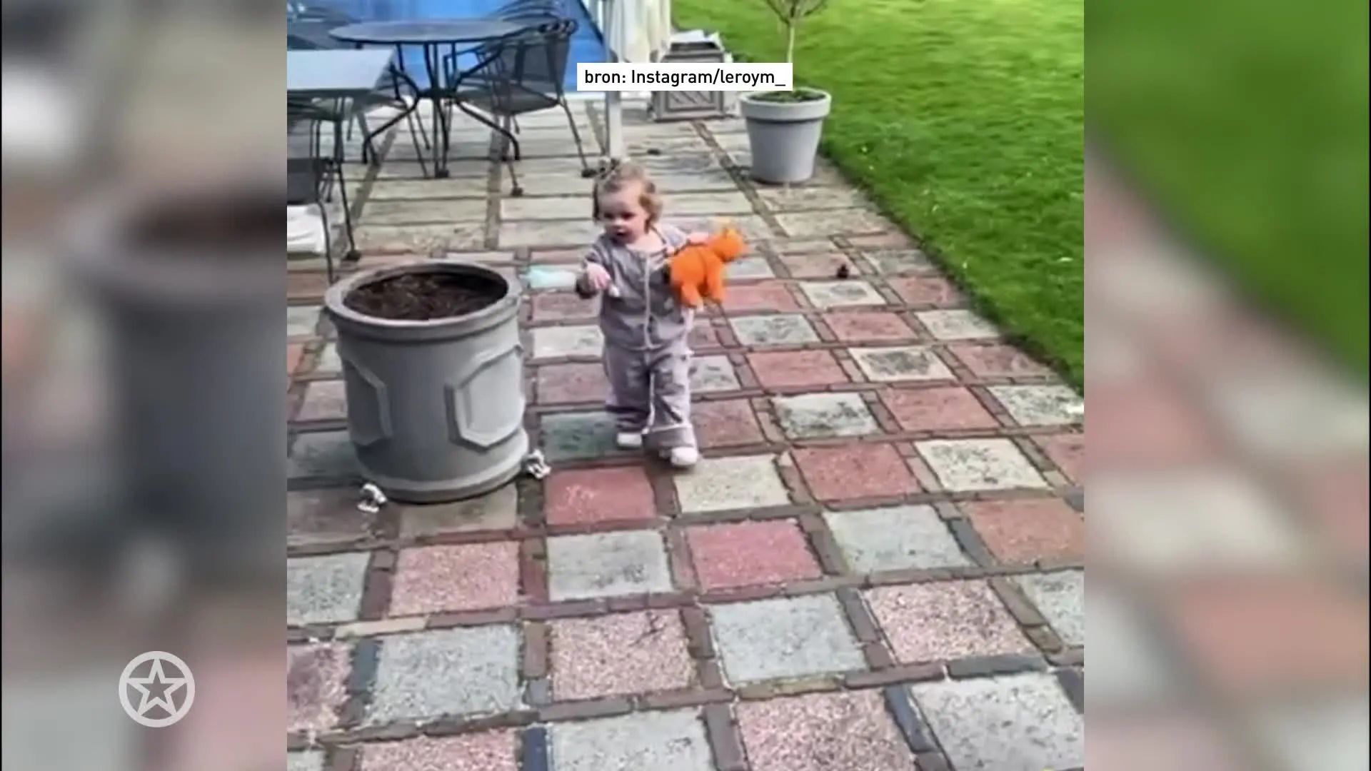 Eerste stapjes van Vivé Meiland