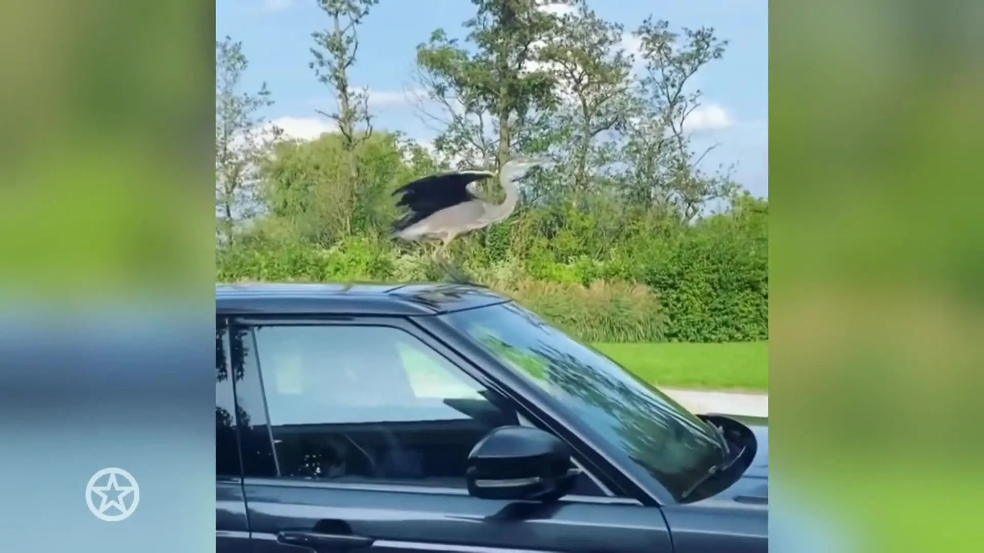 Jandino jaagt speciale gast weg