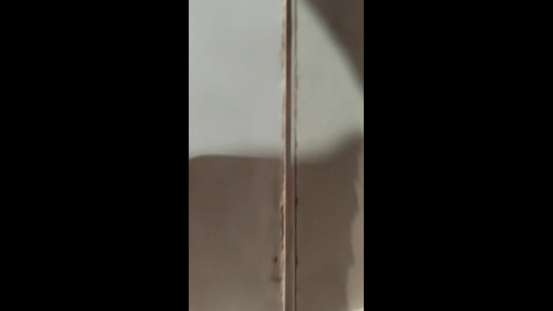 Juryleden The Masked Singer Amerika