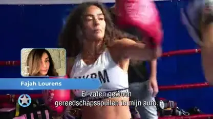 Fajah slachtoffer van auto-inbraak