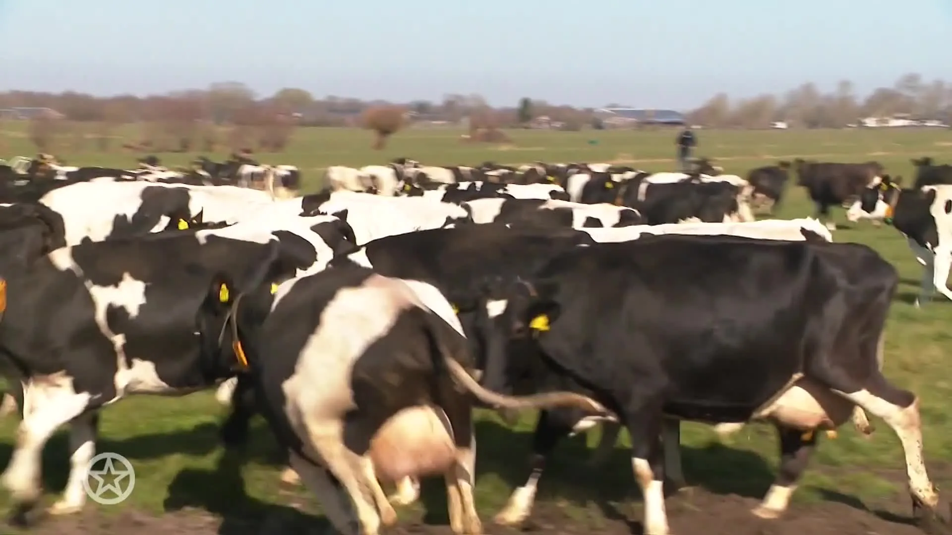 Epke Zonderland opent de staldeuren