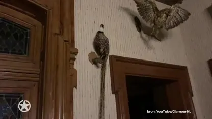 Familie Meiland maakt Chateau Marillaux kerstwaardig