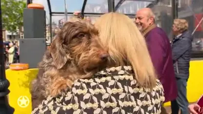 Hier is Janny van der Heijden helemaal dol op!