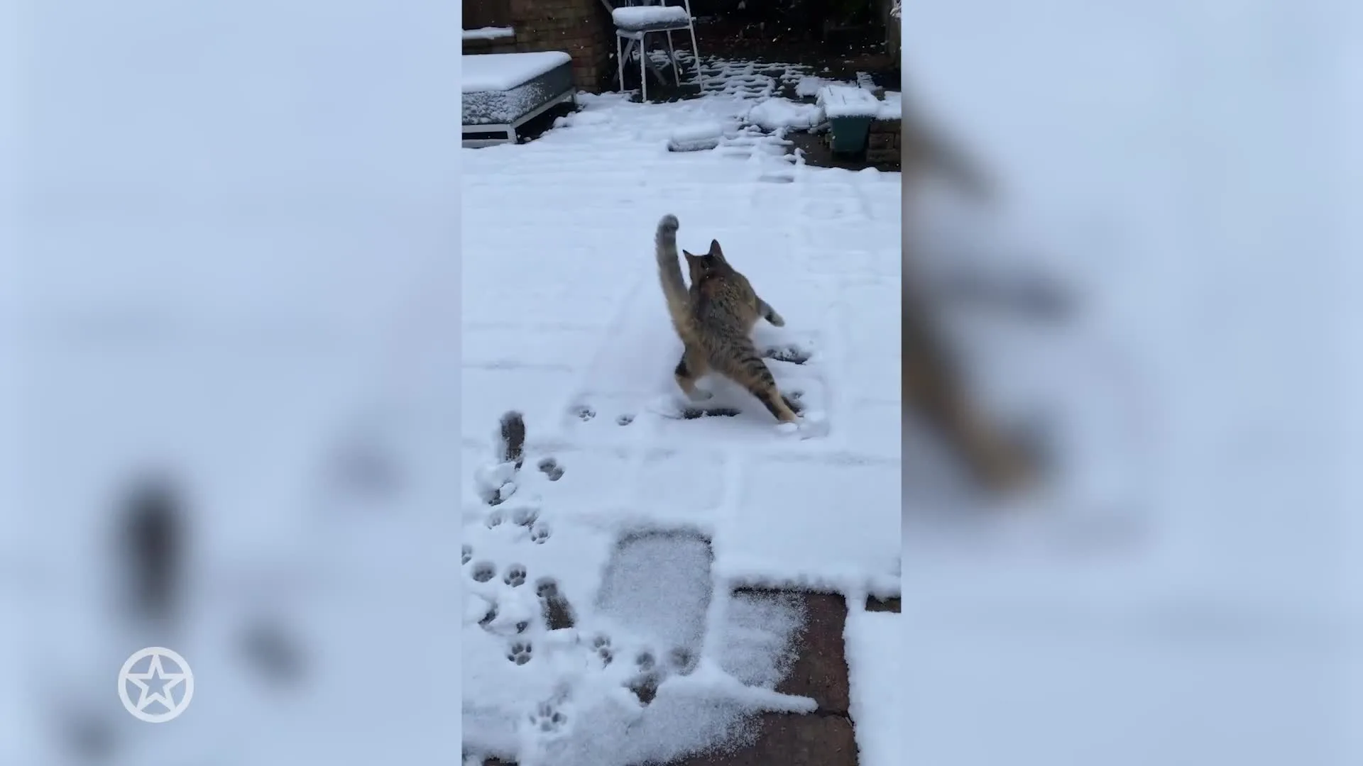 Kat Nala van Maureen du Toit