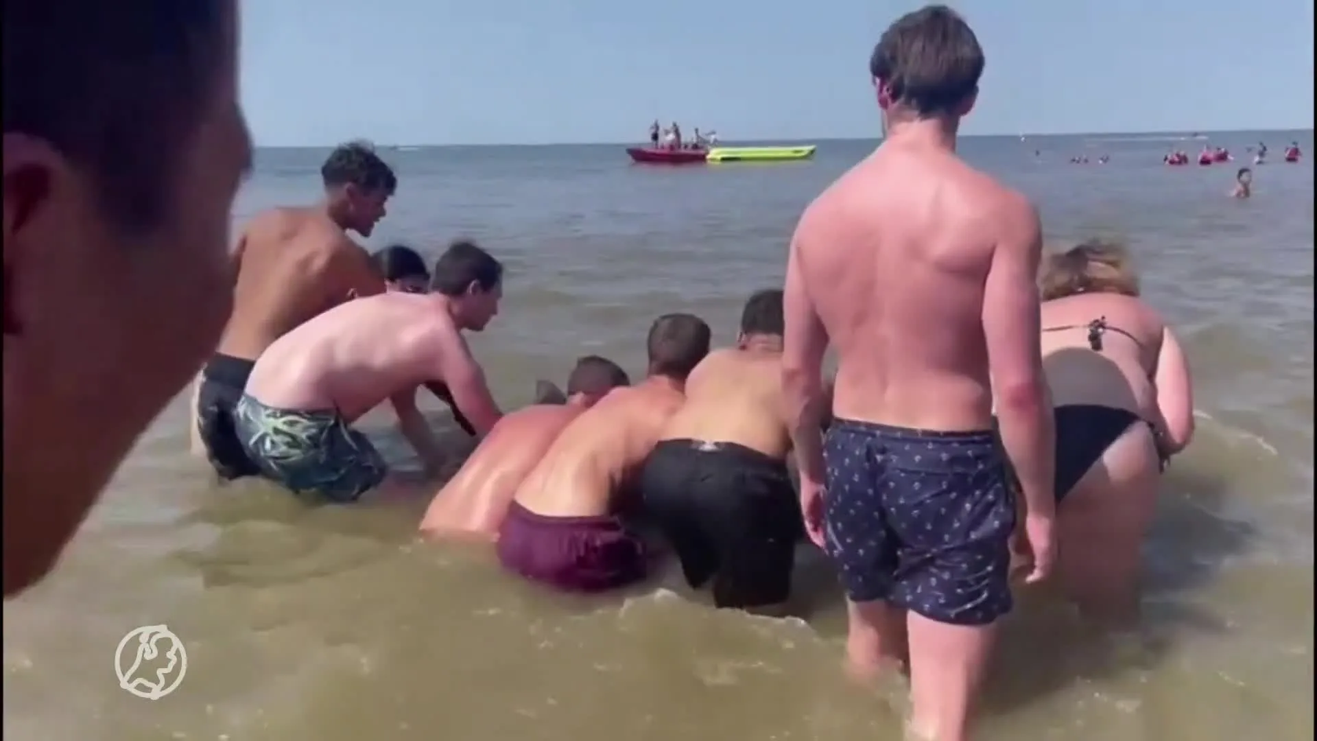 Badgasten in Zandvoort helpen spitssnuitdolfijn terug richting zee