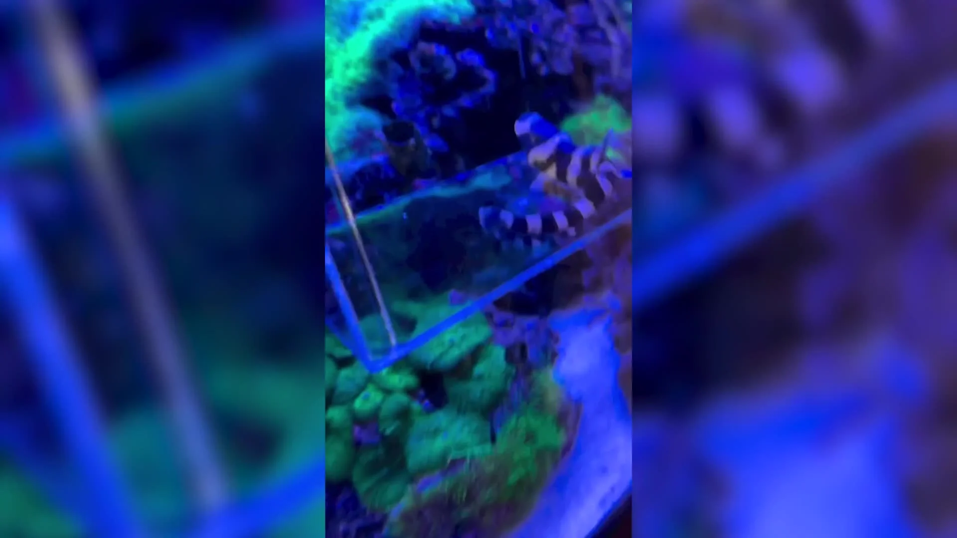 Monique Westenberg deelt verrassend babynieuws