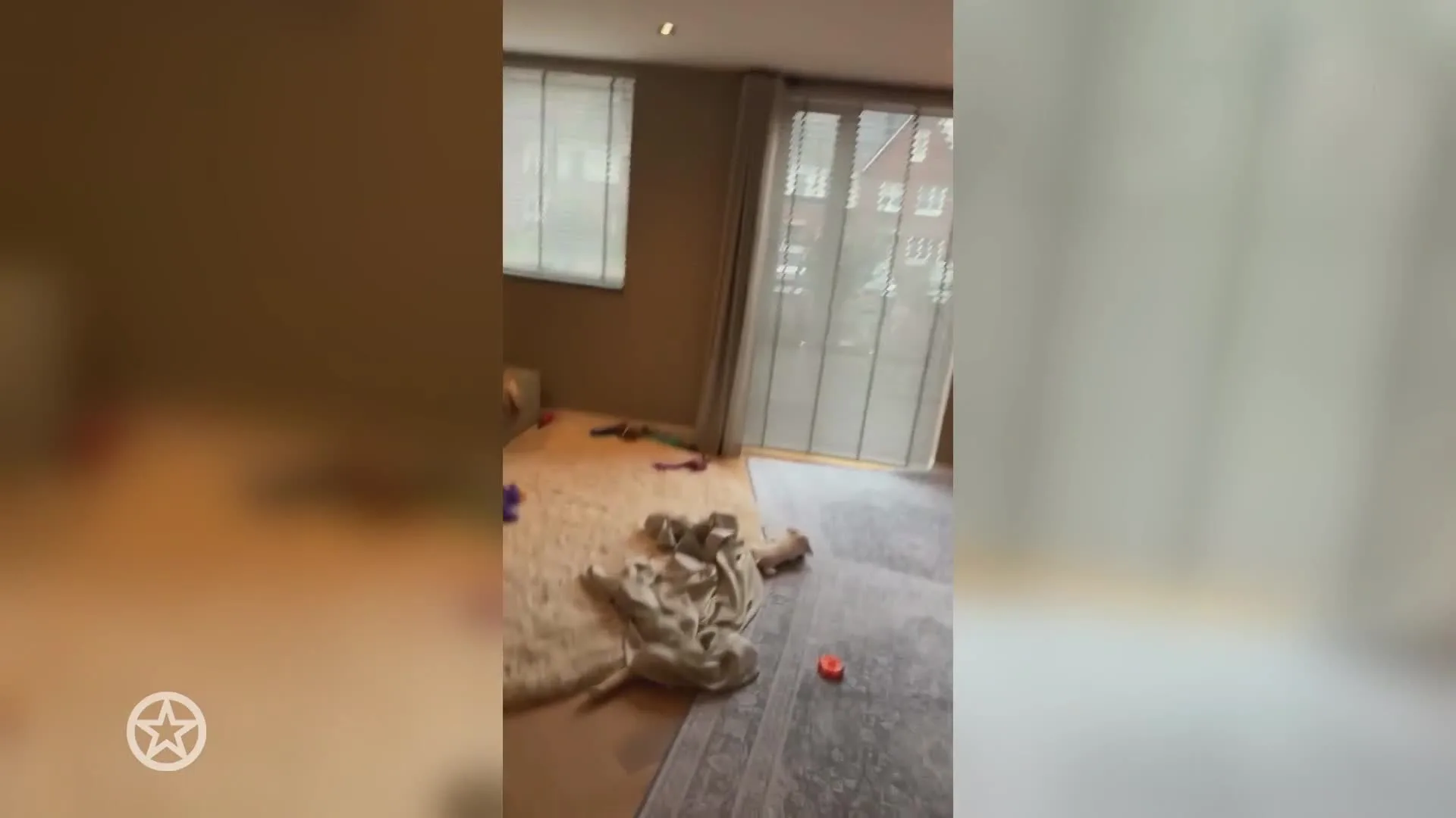 Huis van André Hazes vernield