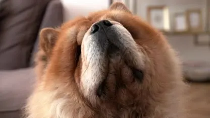 Binnenkijken bij Danny Froger