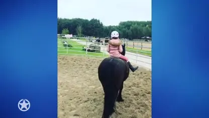 Droom komt uit voor Nicolette Kluijver