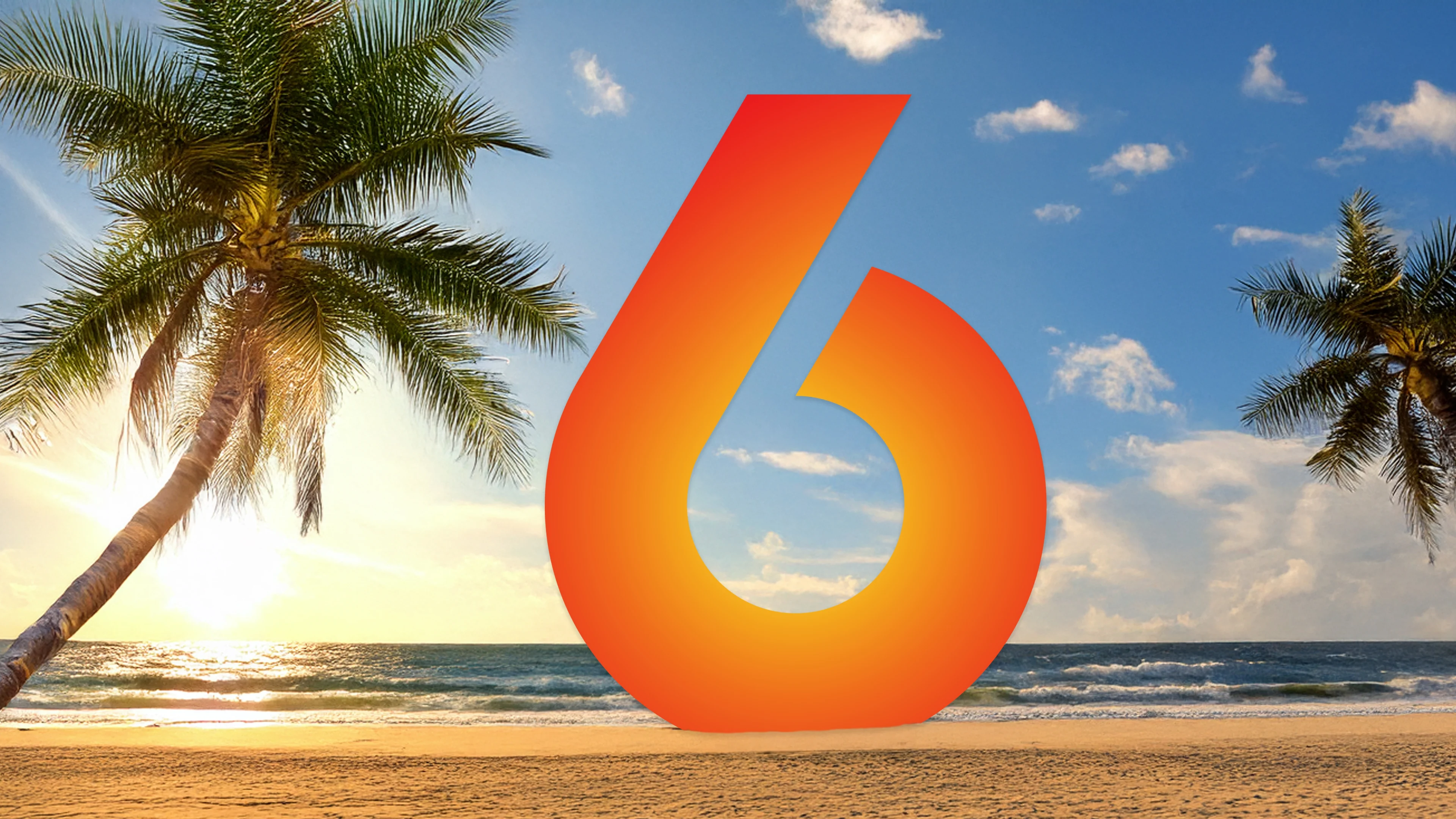 Déze nieuwe programma's zijn in de zomer te zien op SBS6