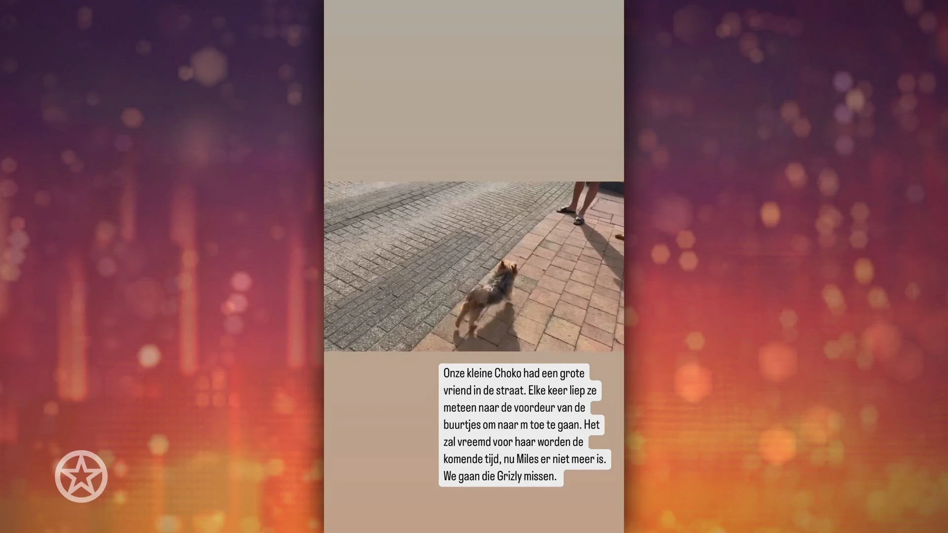 Wolter Kroes deelt verdrietig bericht over hond van buren