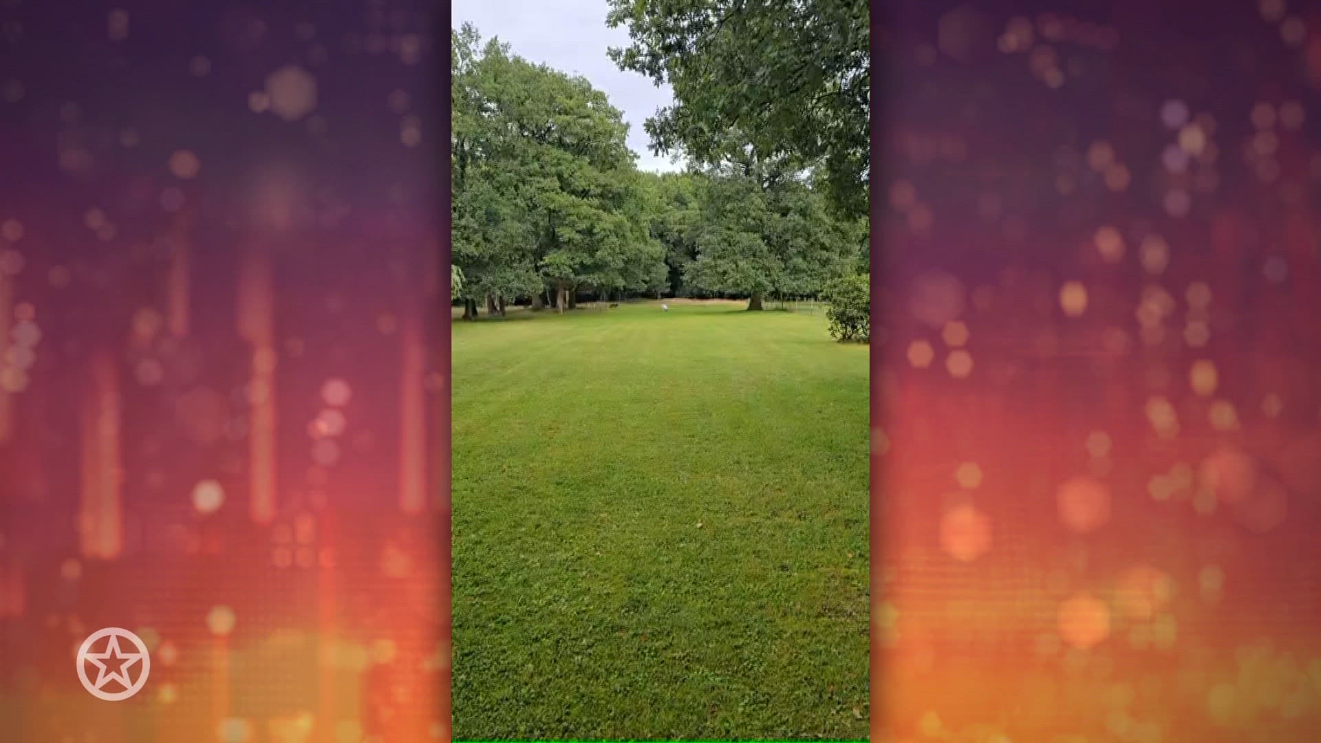 Mart Hoogkamer herenigd met vermiste hond Ciro