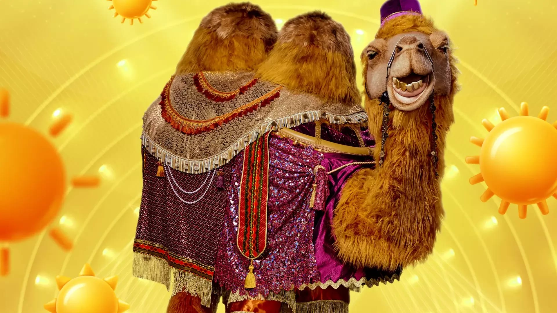 'Dit is De Kameel in The Masked Singer'