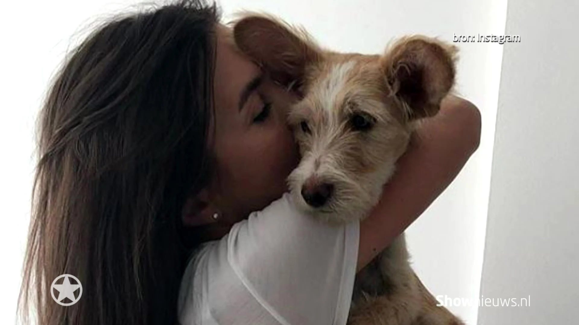 Rossana begint eigen hondenopvang