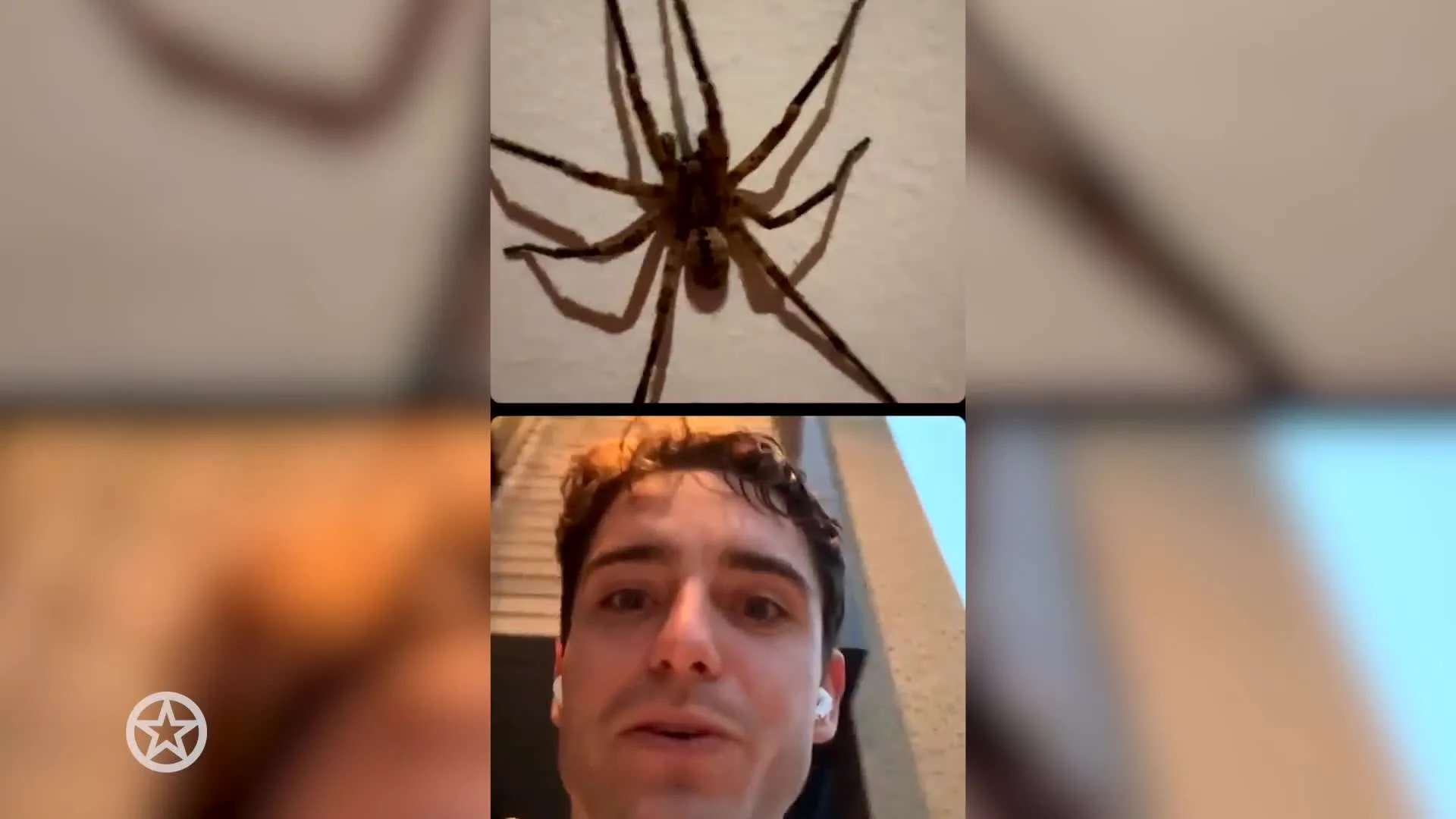 Paniek in huize Van Dam