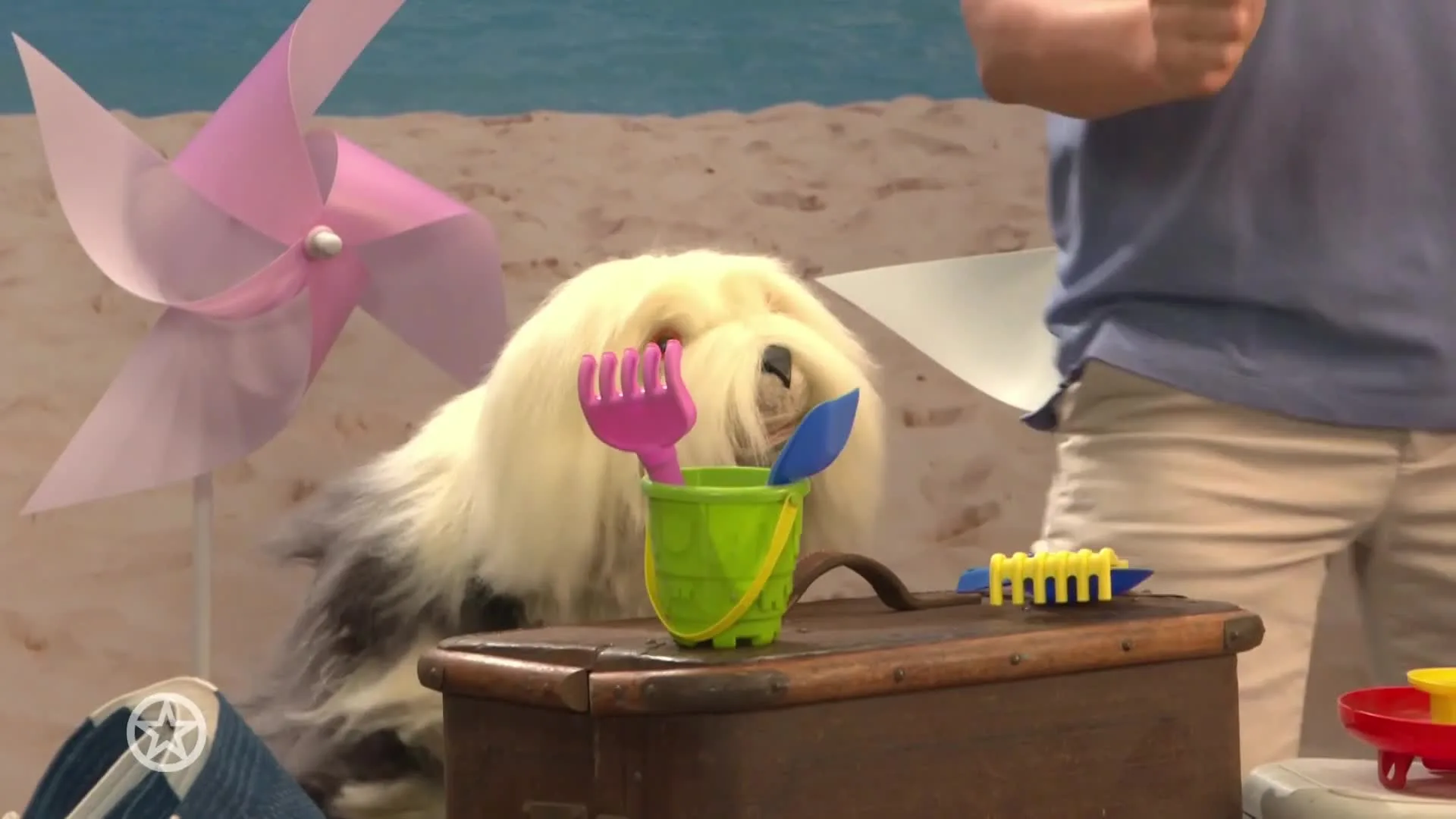 Grensoverschrijdend gedrag in Plopsaland?