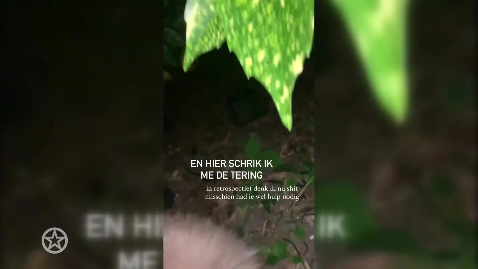 Vriendin Tim Hofman schrikt van man in bosjes