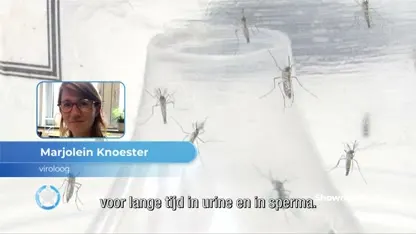 Nieuwe Meghan-zwanger-geruchten om afgezegde Fiji-reis