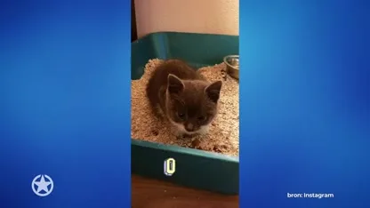 Fien Vermeulen verwelkomt nieuw familielid