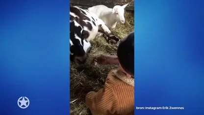 Roxeanne Hazes herleeft haar jeugd