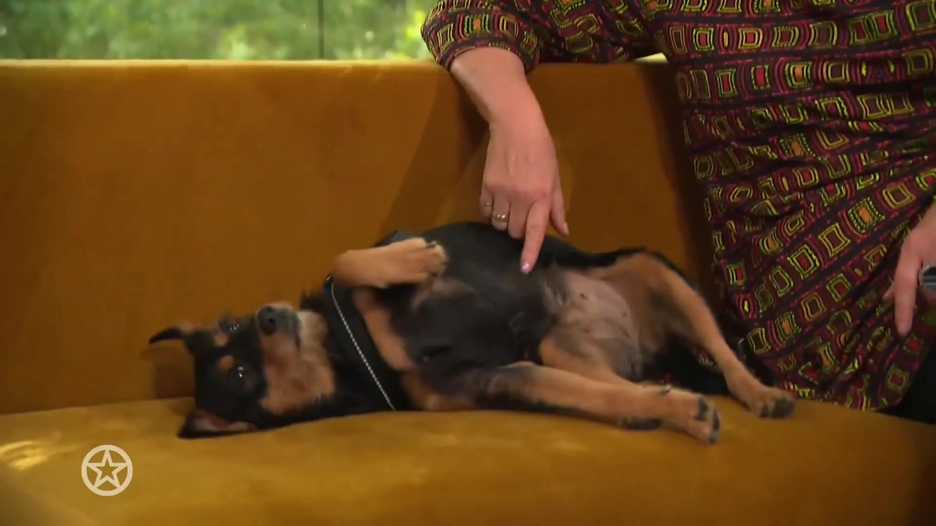 Loretta veranderde naam hond om deze reden