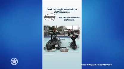 Romy Monteiro: 'Ik kots van dit soort praktijken'