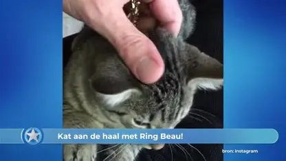 Show Update: Kat aan de haal met Beau's ring