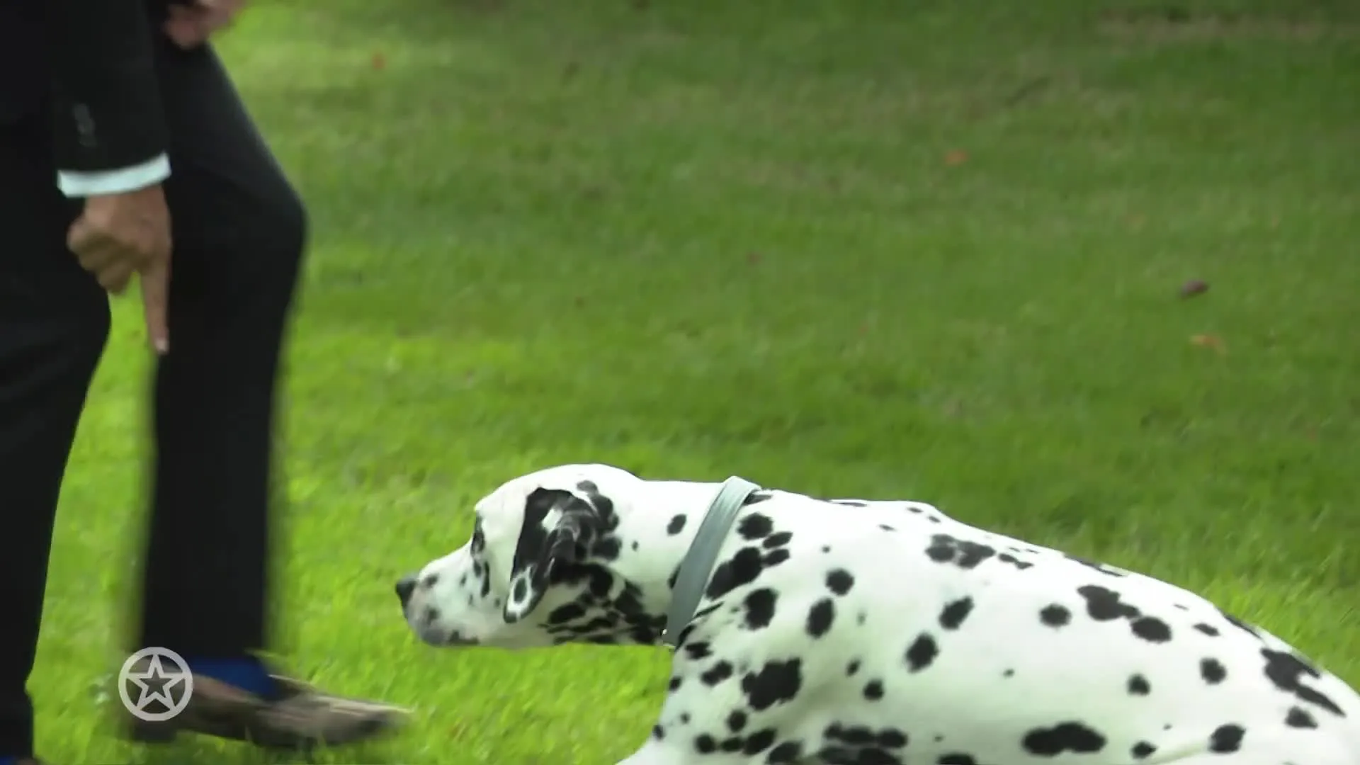 Wibi Soerjadi geeft een update over de mishandelingszaak