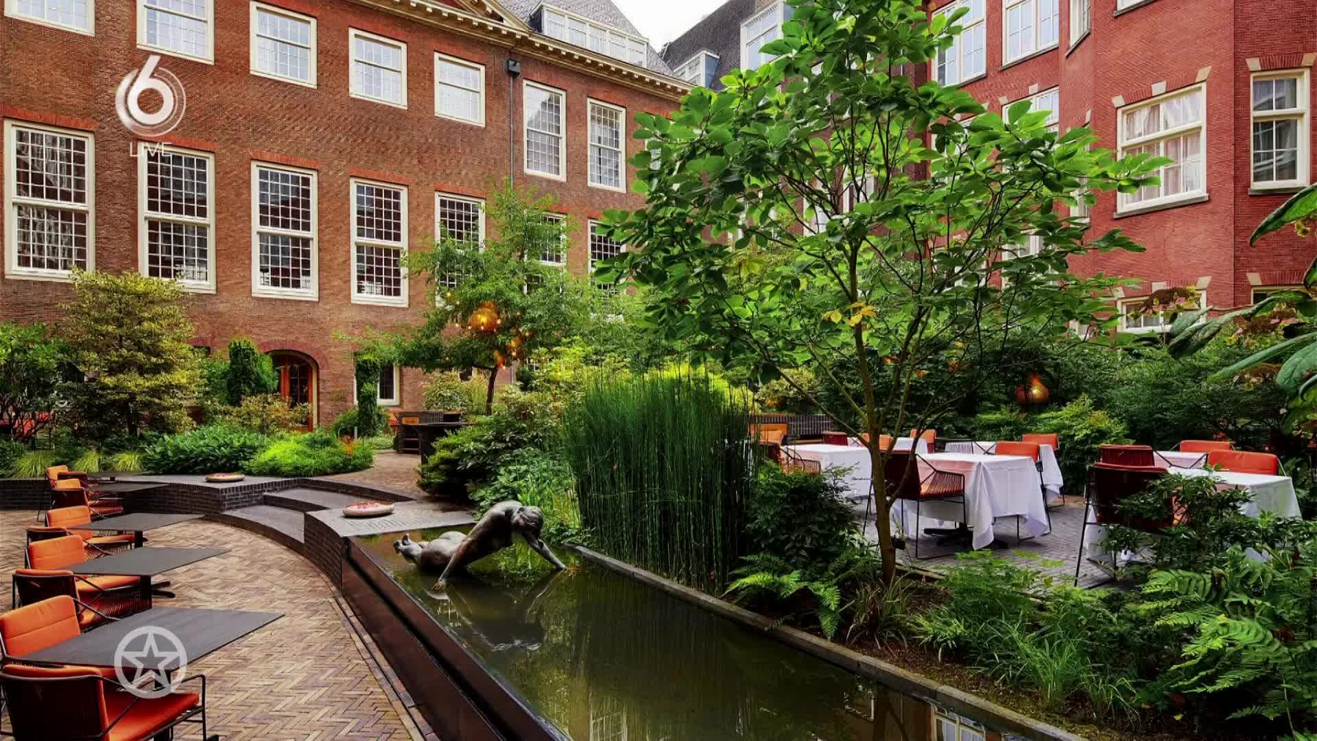 Martin Garrix krijgt fles naar hoofd geslingerd