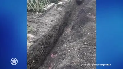 Zo houdt boer Geert-Jan de vrouwen buiten