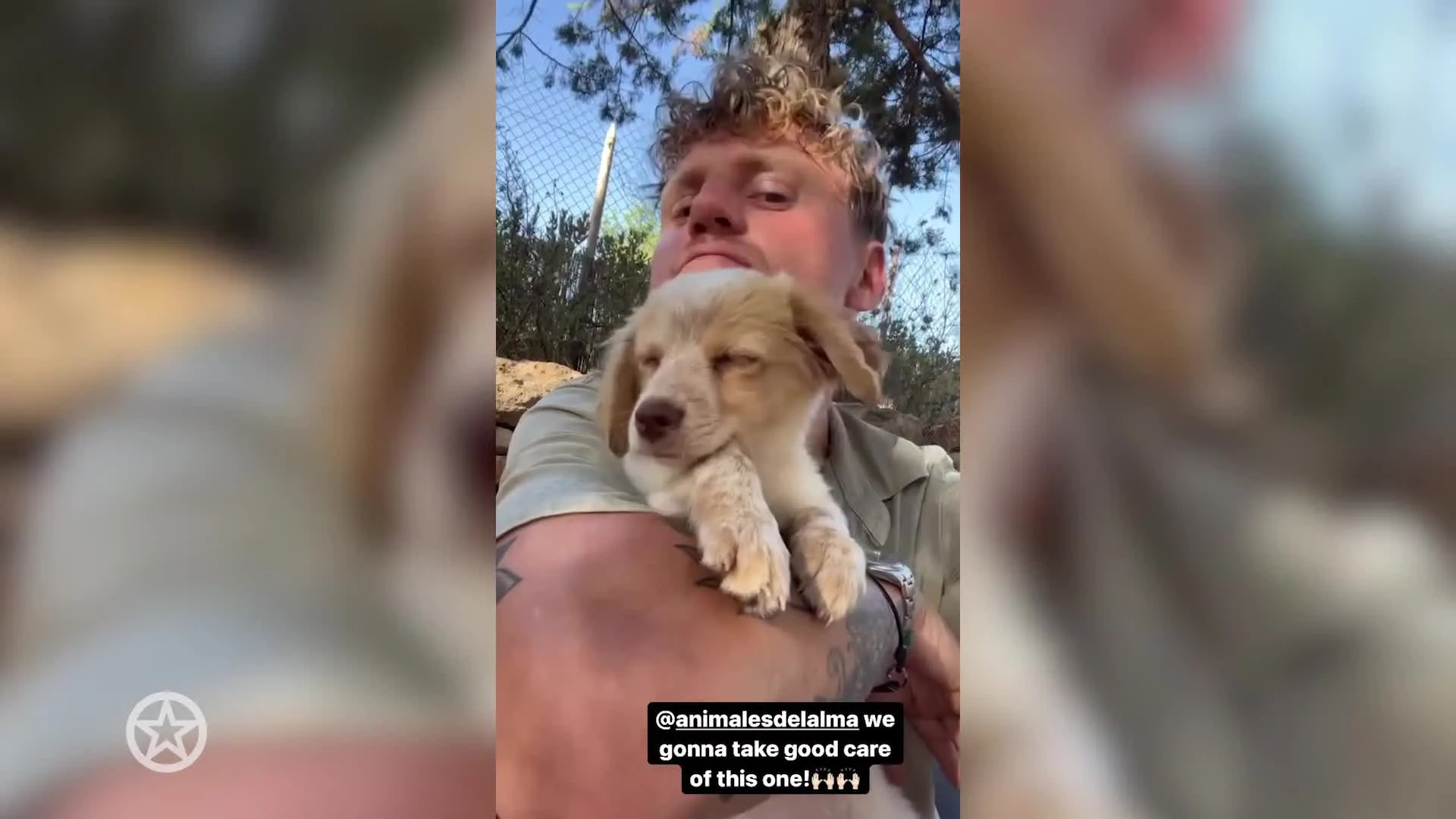 Gezinsuitbreiding Kaj Gorgels