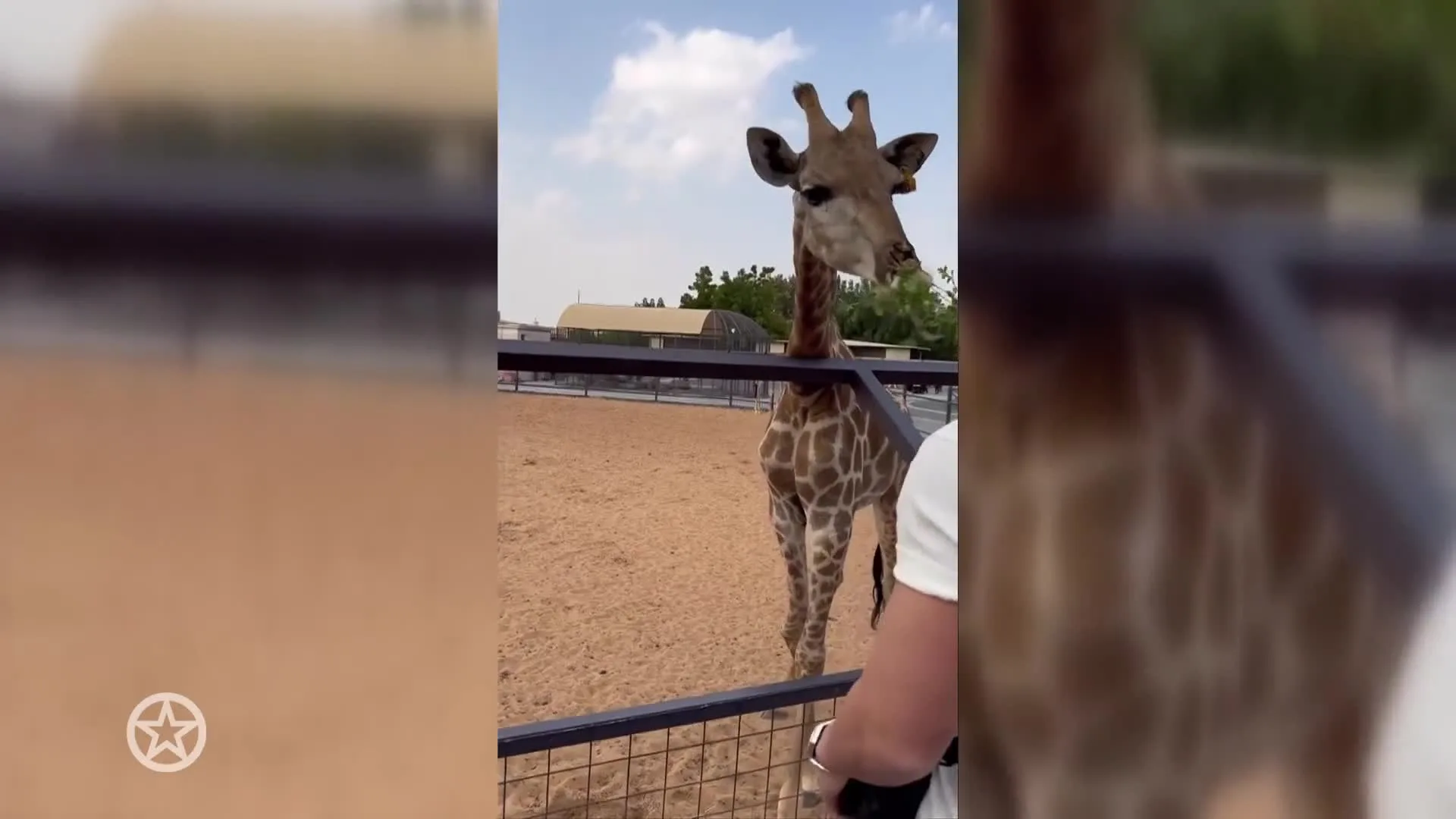 Harrie onder vuur om 'dierenmishandeling'