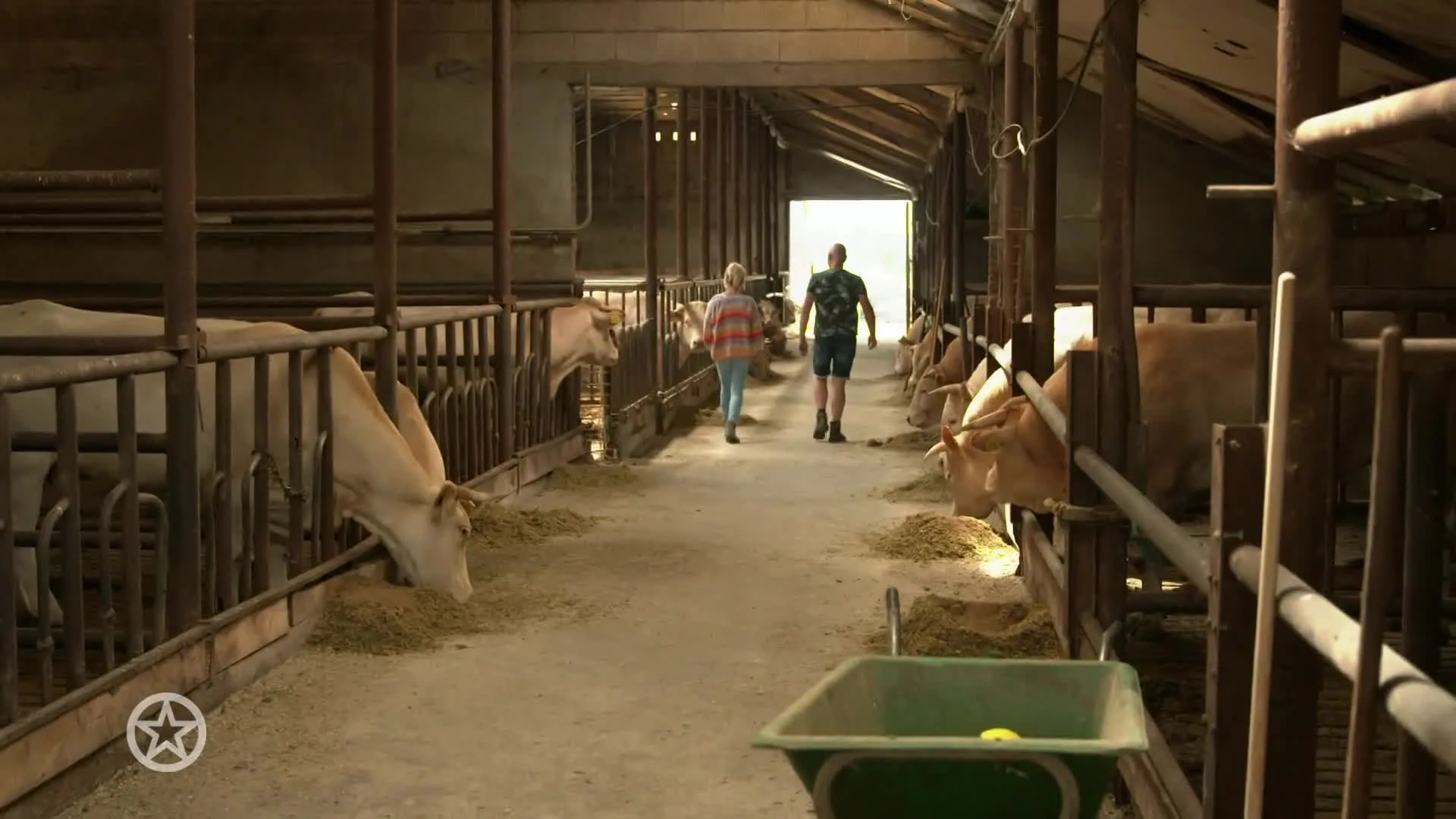 Eerste beelden 12e seizoen Boer zoekt vrouw